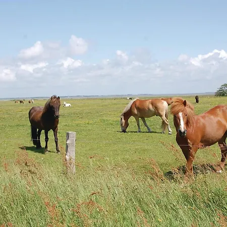 Three-bedroom In 布拉万德