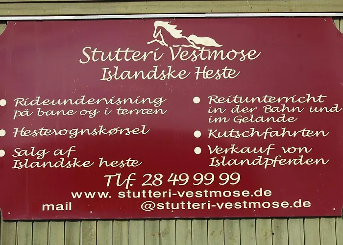 Three-bedroom In Vakantiehuis *